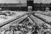 70. rocznica wyzwolenia KL Auschwitz