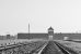 76 rocznica wyzwolenia Auschwitz-Birkenau