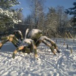 www.owadogigant.pl
