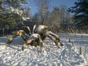 www.owadogigant.pl