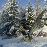 www.owadogigant.pl