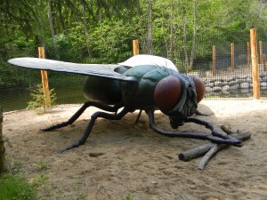 www.owadogigant.pl