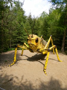 www.owadogigant.pl