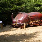 www.owadogigant.pl