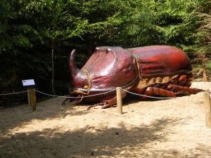 www.owadogigant.pl