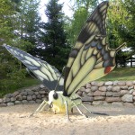 www.owadogigant.pl