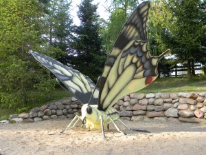 www.owadogigant.pl