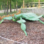 www.owadogigant.pl