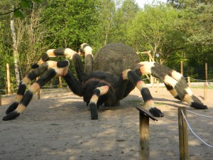 www.owadogigant.pl