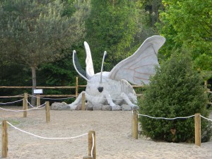 www.owadogigant.pl