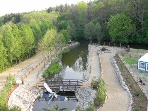 www.owadogigant.pl