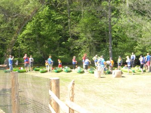 www.owadogigant.pl