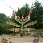 www.owadogigant.pl