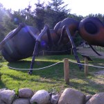 www.owadogigant.pl